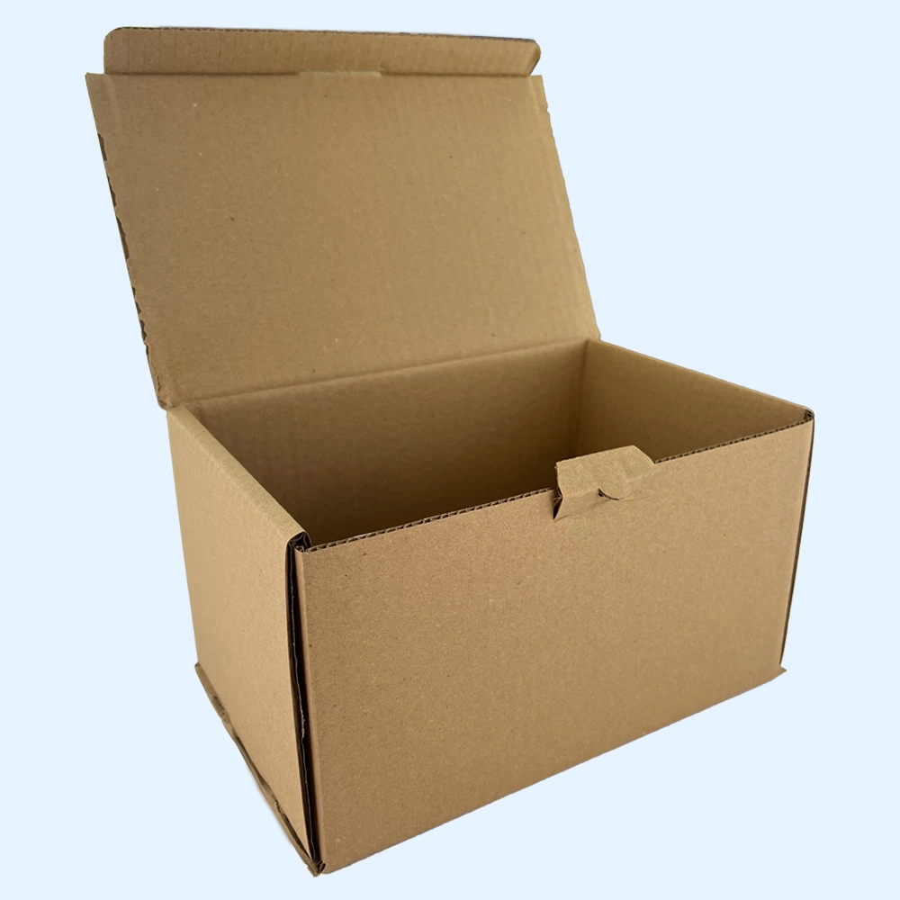 Gofrēta kartona kaste 250x165x140 mm
