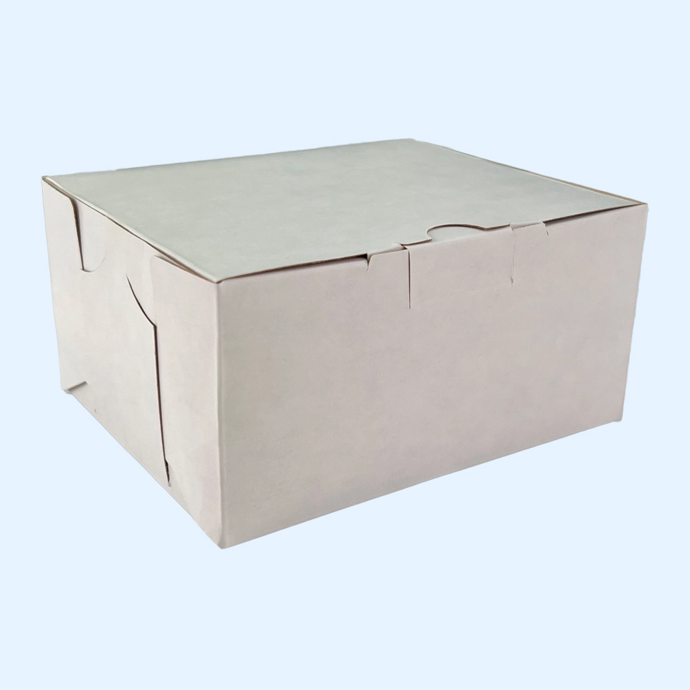 120x100x60mm kartona kastes