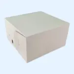 180x180x100mm kartona kastes