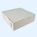 205x205x65mm kartona kastes