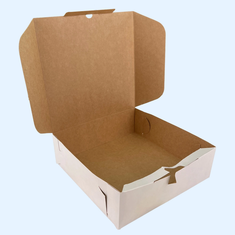 205x205x65mm kartona kastes