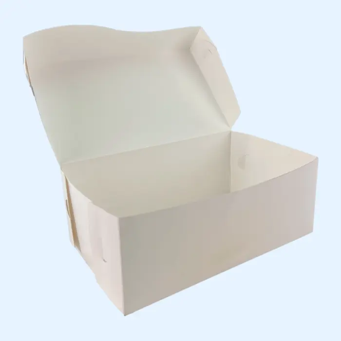 206x125x79mm kartona kastes