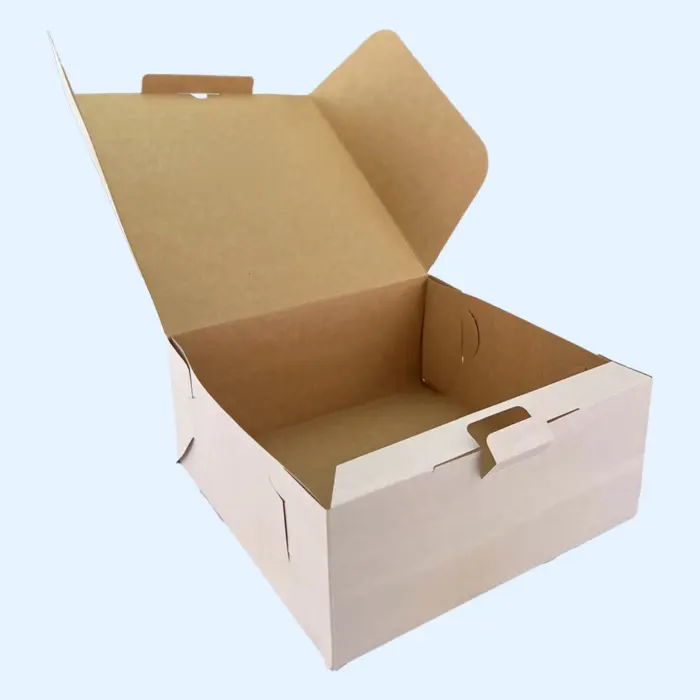 220x220x100 kartona kastes