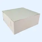 240x240x100 kartona kastes