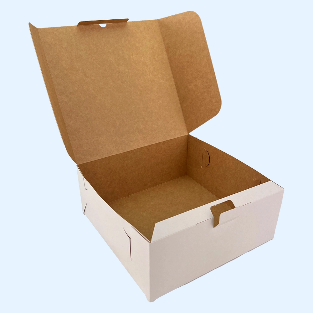 240x240x100 kartona kastes