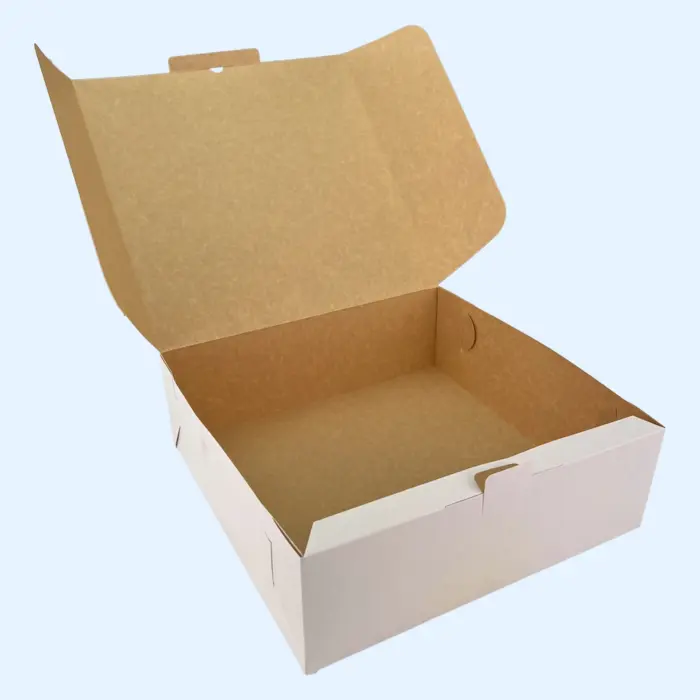 300x300x100 kartona kastes